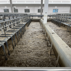 Food Processing Factory Wastewater Treatment Project, Customized Solution