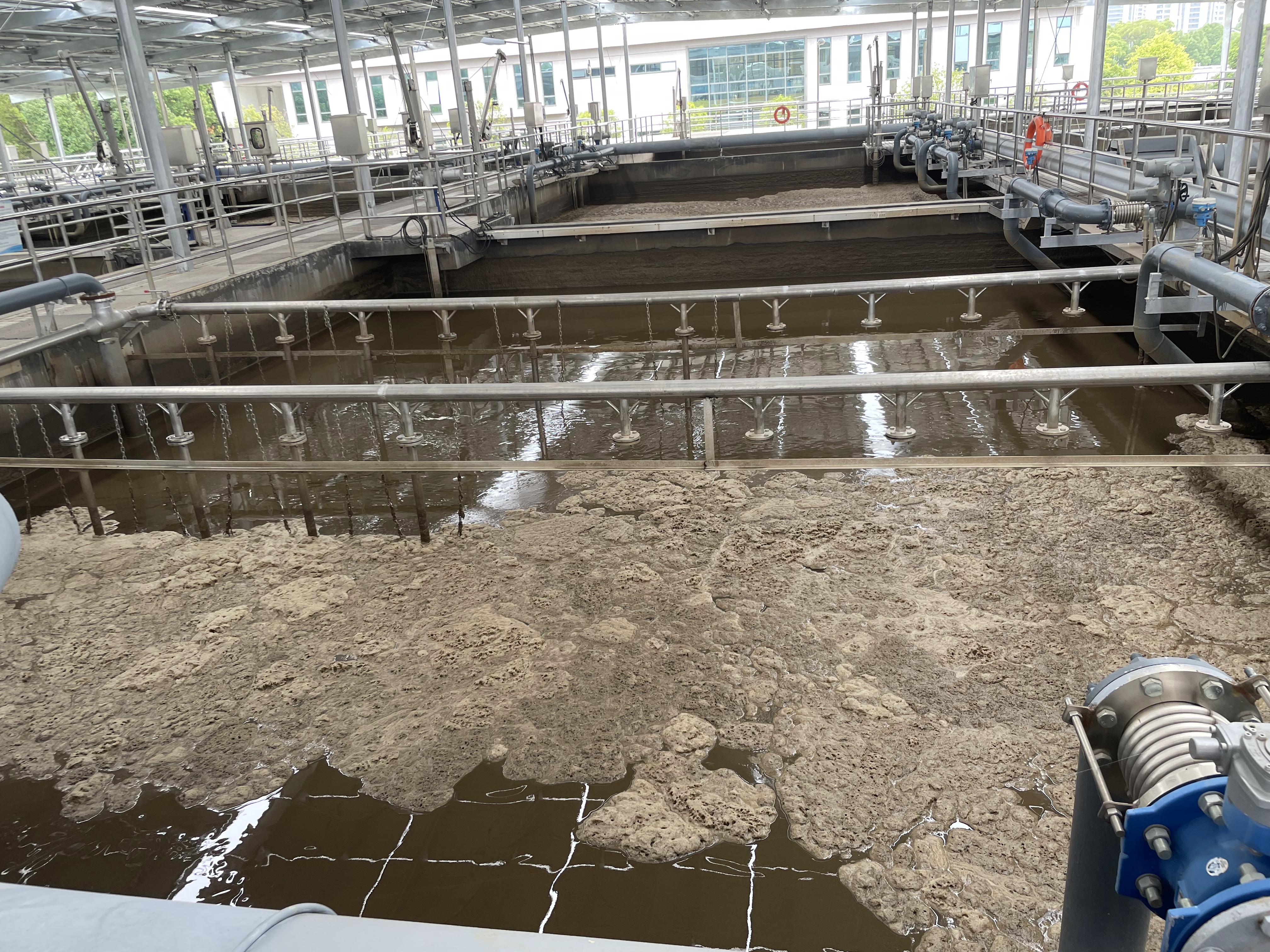 2023_06_13_10_28_IMG_7653